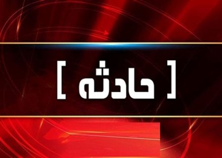 مصدومیت شدید واکسیناتور دامپزشکی مسجدسلیمان در حمله سگ نگهبان