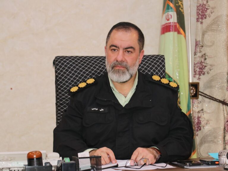 دستگيري سارق تلفن همراه در مسجدسليمان